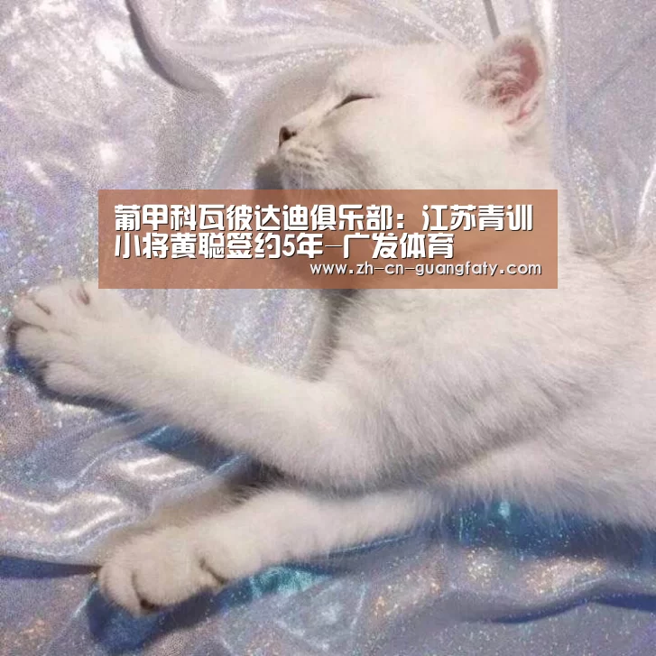葡甲科瓦彼达迪俱乐部:江苏青训小将黄聪签约5年-广发体育(图2) 广发体育