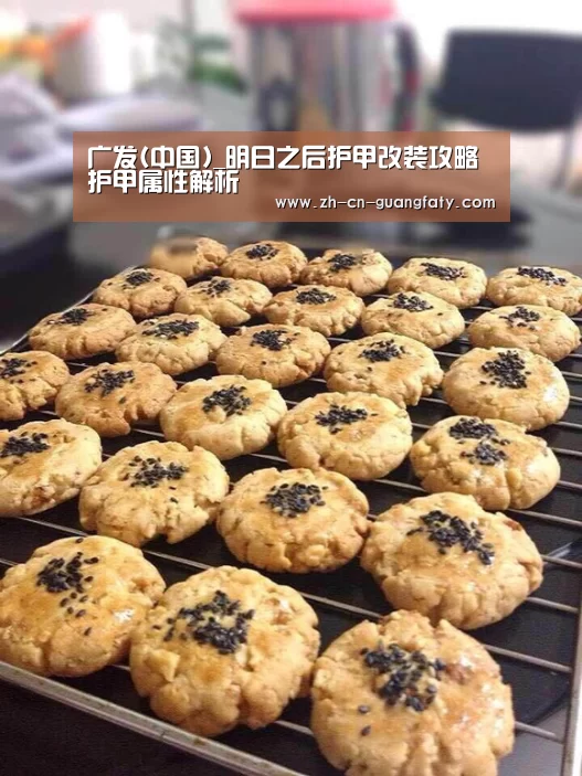 广发(中国)_明日之后护甲改装攻略 护甲属性解析(图3) 广发体育