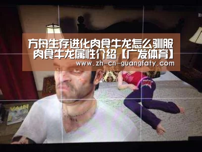 广发体育