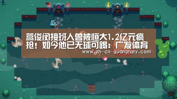 蒿俊闵接班人曾被恒大1.2亿元疯抢!如今他已无球可踢:广发体育(图2) 广发(中国)