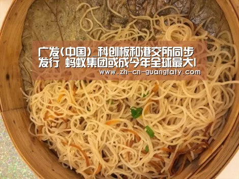 广发(中国)_科创板和港交所同步发行 蚂蚁集团或成今年全球最大IPO之一(图2) 广发体育